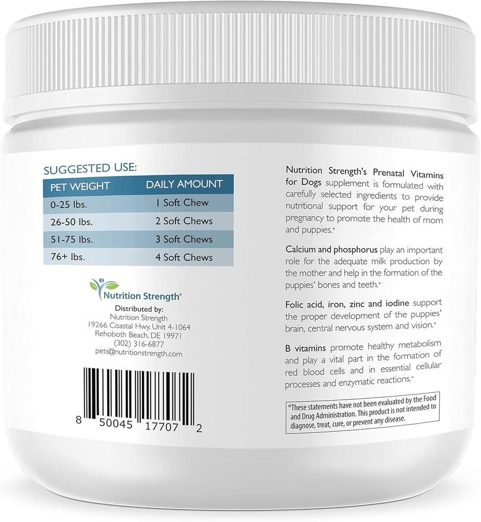 prenatal-vitamins-for-dogs-to-support-de-3.jpg