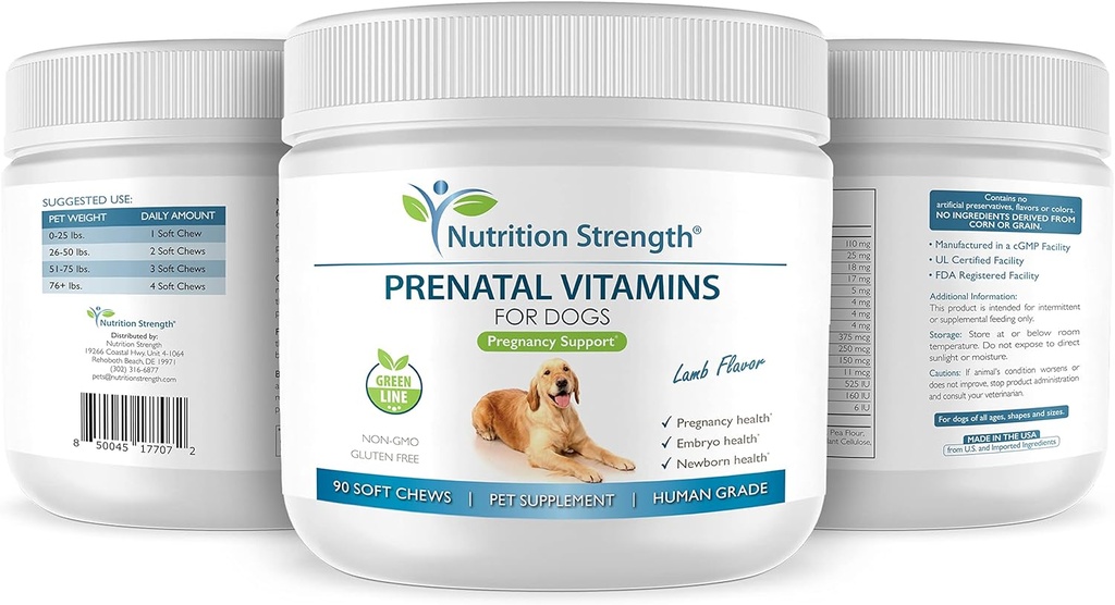 prenatal-vitamins-for-dogs-to-support-de-4.jpg