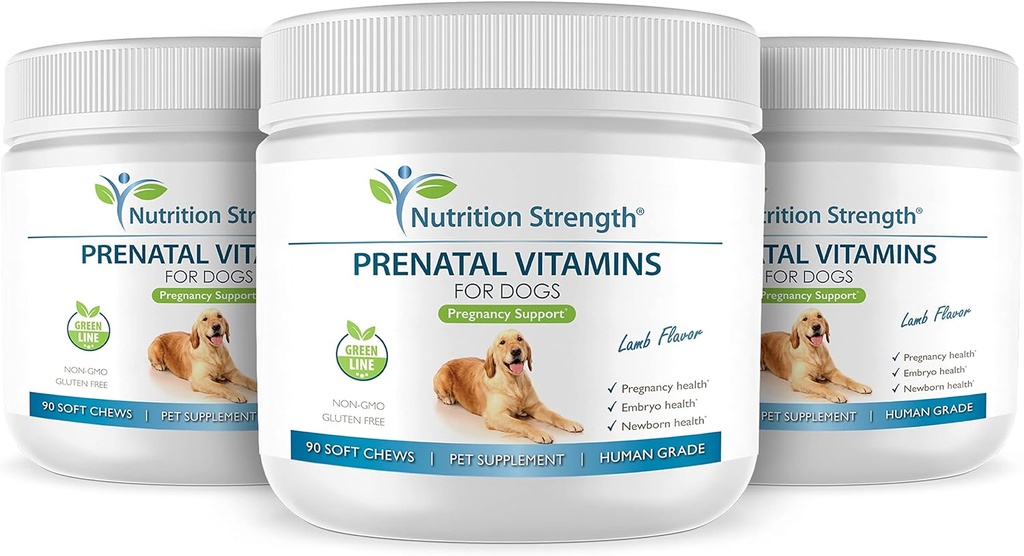 prenatal-vitamins-for-dogs-to-support-de-5.jpg