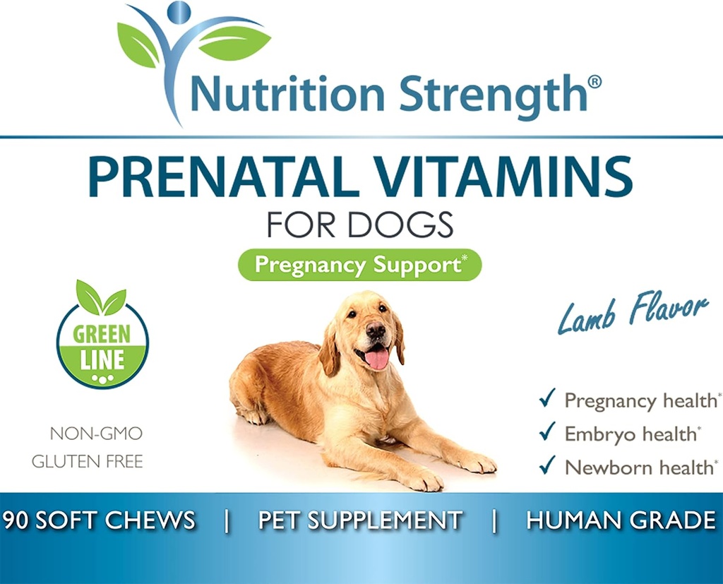 prenatal-vitamins-for-dogs-to-support-de-6.jpg