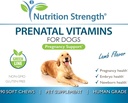prenatal-vitamins-for-dogs-to-support-de-6.jpg