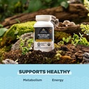 ancient-nutrition-regenerative-organic-c-4.jpg