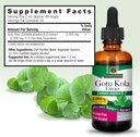 natures-answer-gotu-kola-herb-with-organ-3.jpg