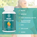 n-acetyl-cysteine-ethyl-ester-100mg-more-4.jpg