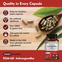 dailynutra-ksm-66-ashwagandha-90-capsule-2.jpg