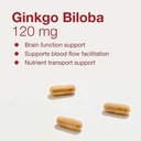 protocol-ginkgo-biloba---120-mg-ginkgo-b-4.jpg