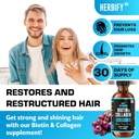 herbify-bundle---lions-mane-drops-biotin-4.jpg