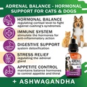 adrenal-balance-for-dogs-and-cats---cush-2.jpg