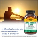 country-life-maxi-amino-16-amino-acids-9-3.jpg