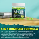 2-pack-algae-omega-3-gummies-1000mg-plan-6.jpg