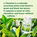 l-theanine-200mg-veggie-capsules-promote-3.jpg