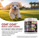salmon-oil-omega-3-fish-oil-for-dogs-ski-2.jpg