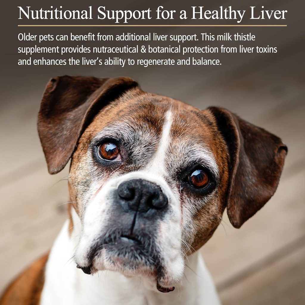 rx-vitamins-hepato-support-for-dogs-cats-3.jpg