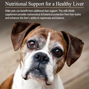 rx-vitamins-hepato-support-for-dogs-cats-3.jpg