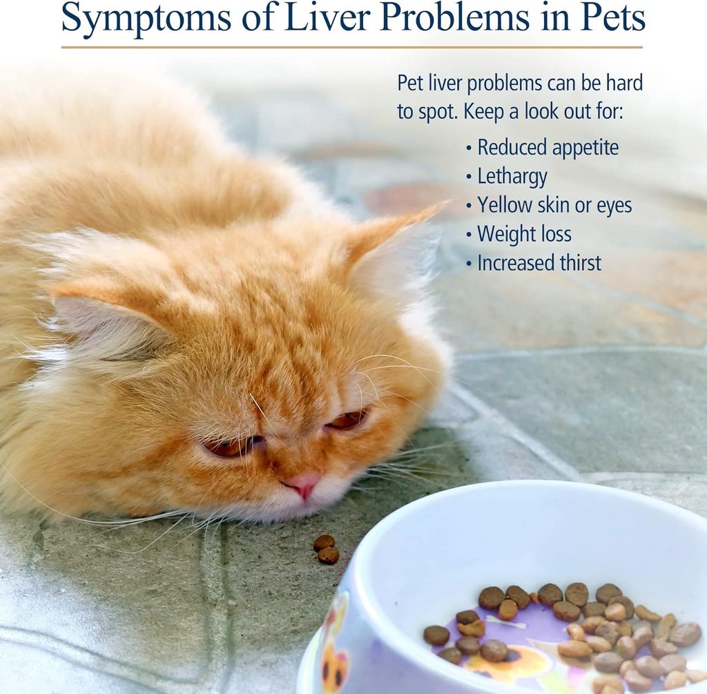 rx-vitamins-hepato-support-for-dogs-cats-4.jpg