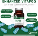 quality-of-life-vitapqq-with-microactive-5.jpg