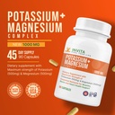 invita-potassium-magnesium-complex-1000--3.jpg
