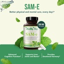 healthy-way-500mg-sam-e-supplement---hig-3.jpg
