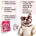 cranberry-uti-chews-for-dogs-bladder-sup-2.jpg