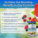 vital-planet---vital-gut-boost-powder-by-3.jpg