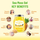 185-oz-sea-moss-gel-organic-raw-vegan-pi-3.jpg