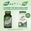 natures-way-chlorella-micro-algae-superf-2.jpg