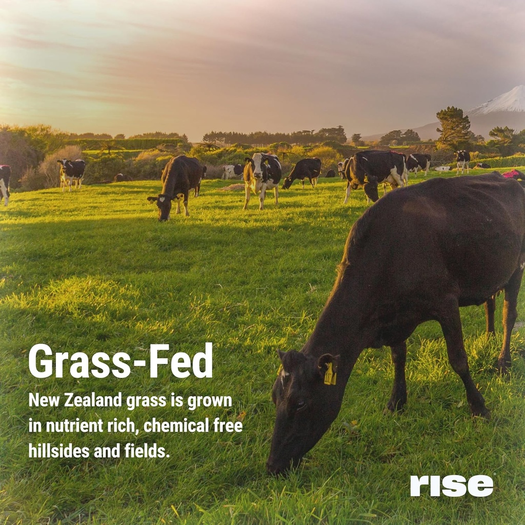 rise-grass-fed-whey-protein-powder---van-6.jpg