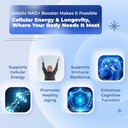 sotalix-supplement-nad-boosting-all-in-1-3.jpg