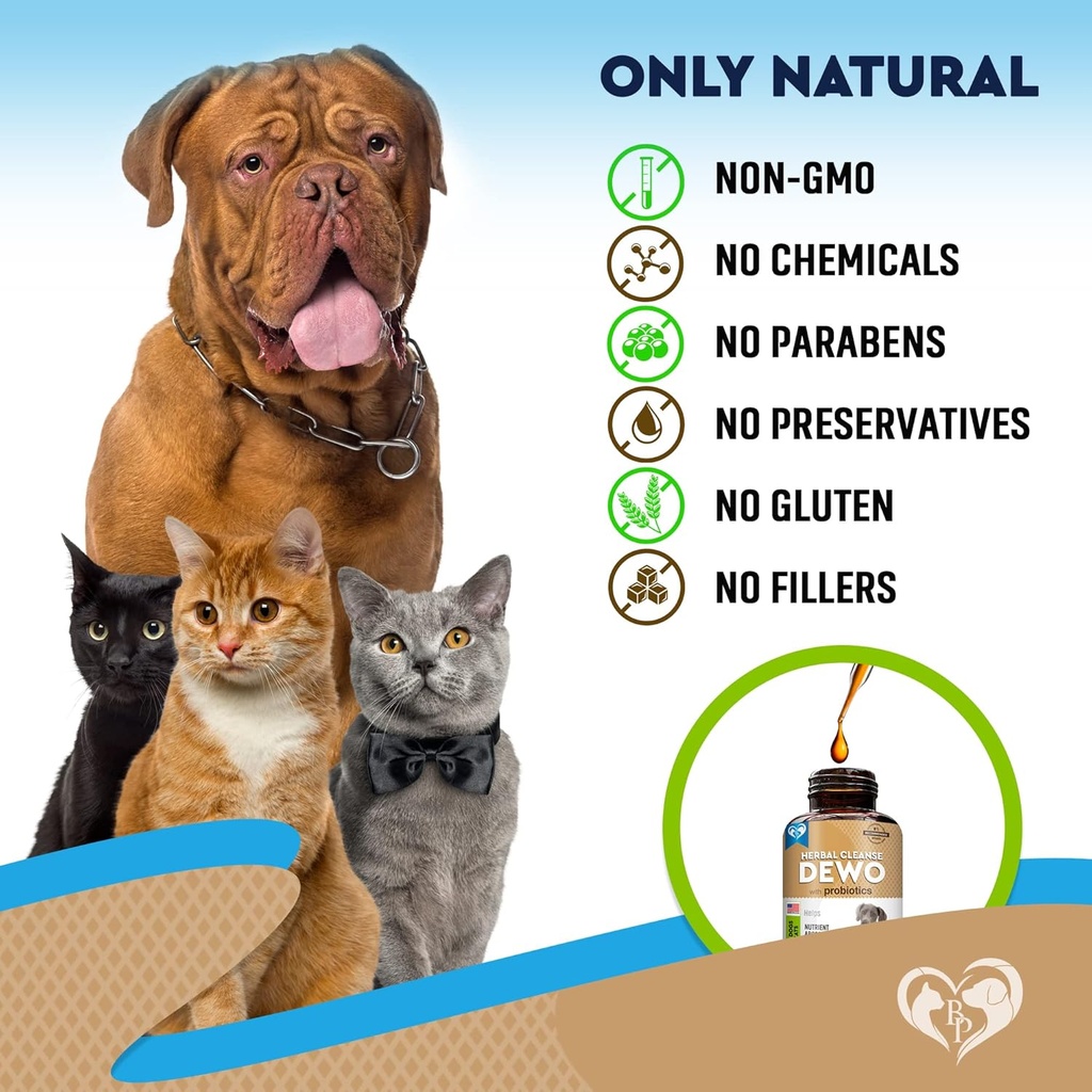 natural-intestinal-defense-for-dogs-cats-6.jpg