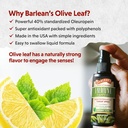 barleans-2-pack-olive-leaf-complex-throa-3.jpg