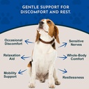 animal-essentials-comfort-plus-for-dogs--2.jpg