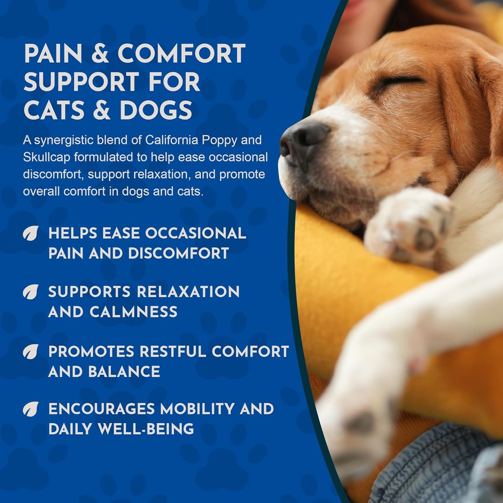 animal-essentials-comfort-plus-for-dogs--5.jpg
