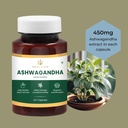 ashwagandha-capsules-450mg-60-count-herb-3.jpg