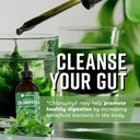 360-nutrition-chlorophyll-liquid-drops-w-3.jpg