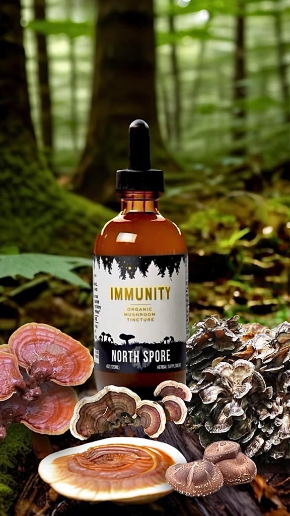 north-spore-organic-immunity-mushroom-ti-4.jpg