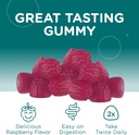 zahler-magnesium-gummies---sugar-free-ma-5.jpg