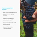 meganatural-bp-grape-seed-extract-supple-3.jpg