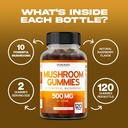 mushroom-gummies-2500mg-10-in-1-blend-12-4.jpg