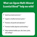 jigsaw-health-multi-mineral-essential-bl-6.jpg