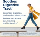 renew-life-adult-digestmore-ultra-enzyme-2.jpg
