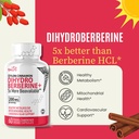 natures-fusions-nutri-dihydroberberine-6-4.jpg