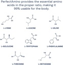 bodyhealth-perfectamino-powder---bcaa-an-4.jpg