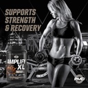 pmd-sports-amplify-xl-premium-whey-prote-4.jpg