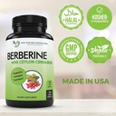 doctor-recommended-supplements-berberine-4.jpg
