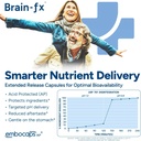 brain-fxTM-b-vitamins-herbs-for-memory-a-4.jpg