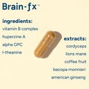 brain-fxTM-b-vitamins-herbs-for-memory-a-5.jpg