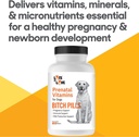 bitch-pills-dog-prenatal-vitamins-prenat-5.jpg