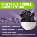 majus-powerful-purple-sea-moss-capsules--2.jpg