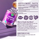 majus-powerful-purple-sea-moss-capsules--6.jpg