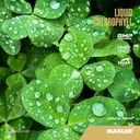maxler-chlorophyll-liquid-natural-flavor-2.jpg